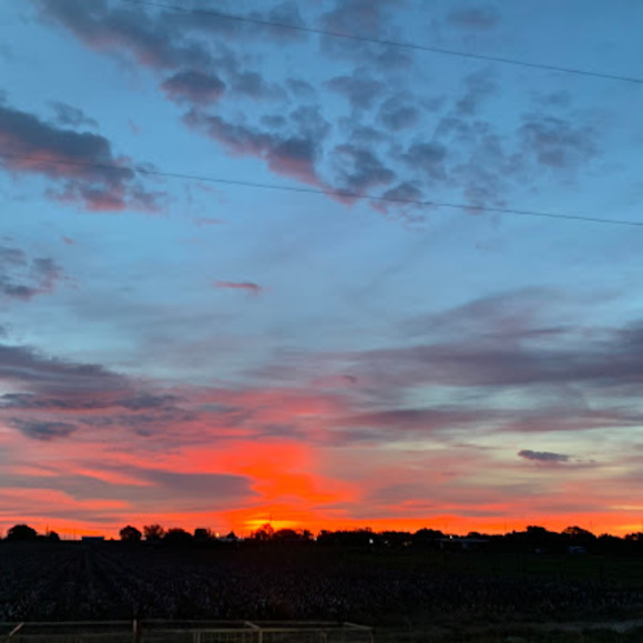 Meet your Posher, Mckinley - Picture 1 of 1